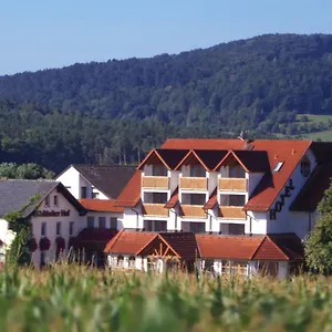 Hotel Hotel-restaurant Fränkischer Hof